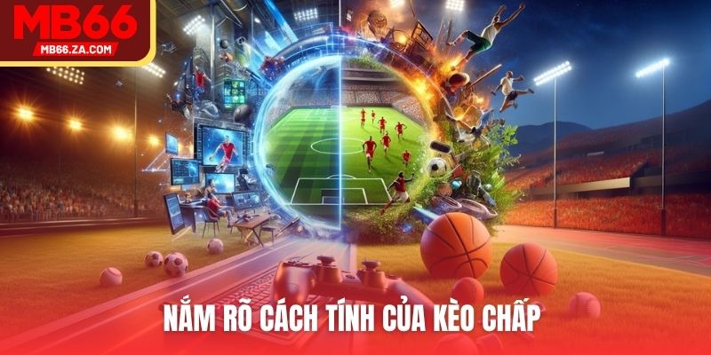 Kèo Chấp o.5 Là Gì? Tìm Hiểu Cá Cược Bóng Đá Tại MB66 3 Nắm rõ cách tính của kèo chấp